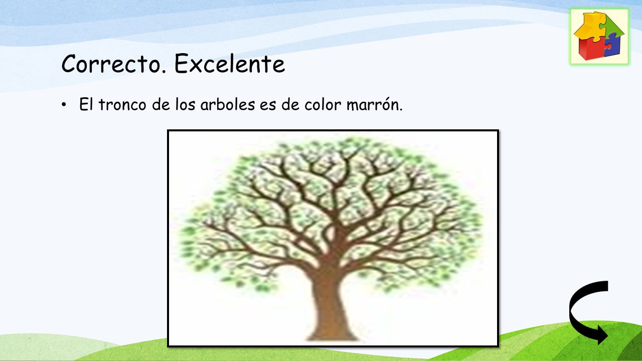 Correcto. Excelente El tronco de los arboles es de color marrón.