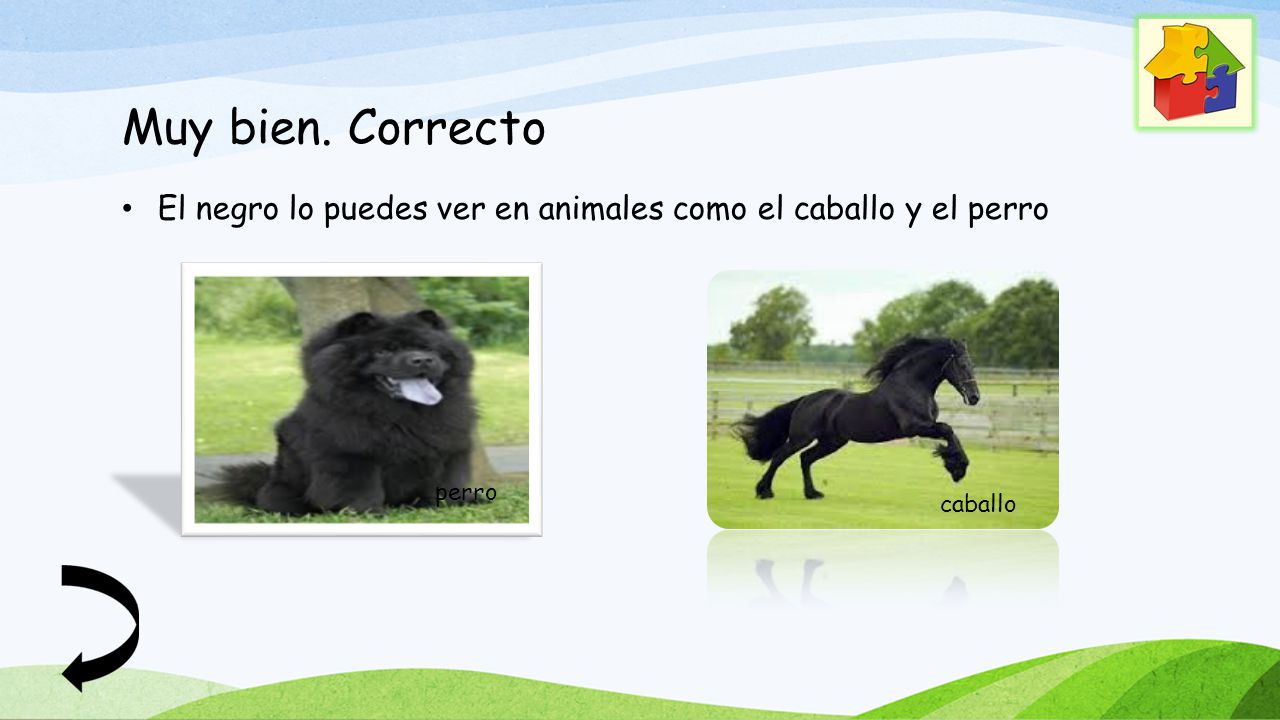 Muy bien. Correcto El negro lo puedes ver en animales como el caballo y el perro perro caballo