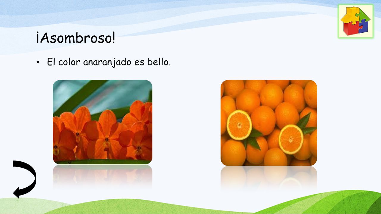 ¡Asombroso! El color anaranjado es bello.
