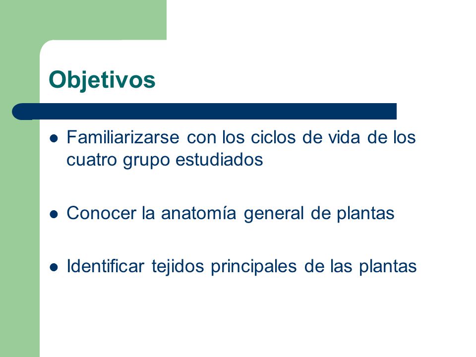 Objetivos Familiarizarse con los ciclos de vida de los cuatro grupo estudiados. Conocer la anatomía general de plantas.