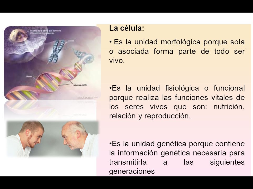 La célula: Es la unidad morfológica porque sola o asociada forma parte de todo ser vivo.