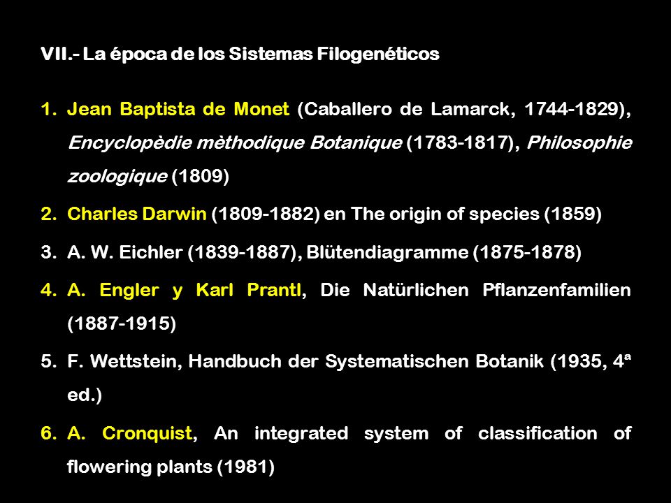 VII.- La época de los Sistemas Filogenéticos