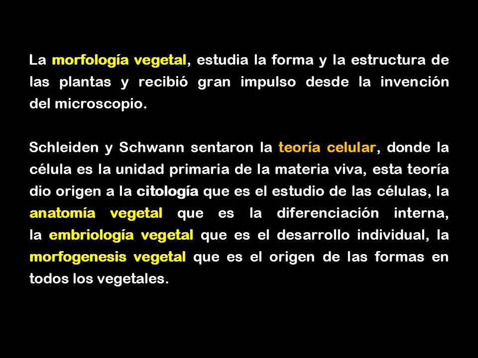 La morfología vegetal, estudia la forma y la estructura de las plantas y recibió gran impulso desde la invención del microscopio.