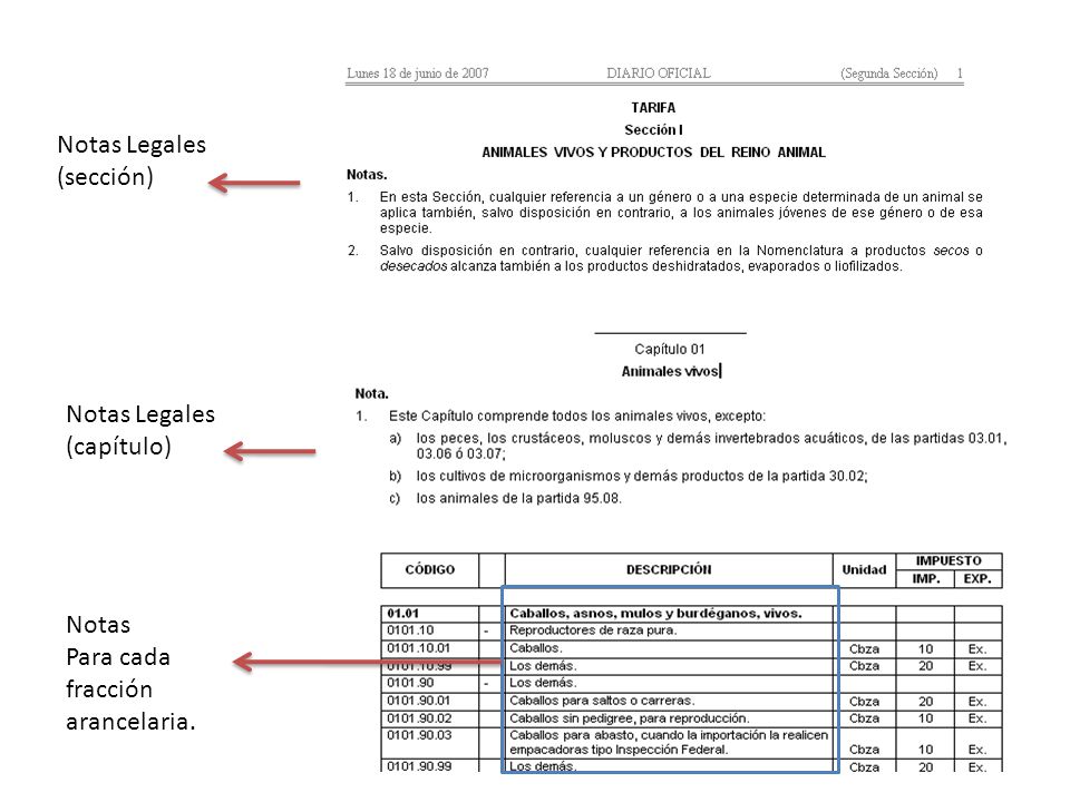 Notas Legales (sección) Notas Legales (capítulo) Notas Para cada fracción arancelaria.