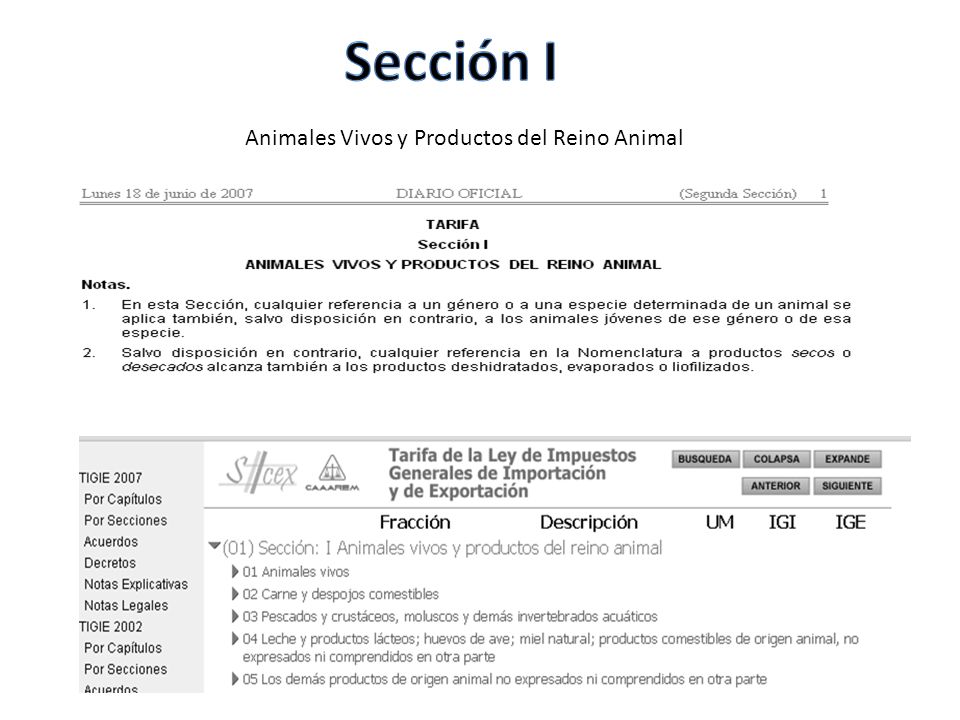Animales Vivos y Productos del Reino Animal