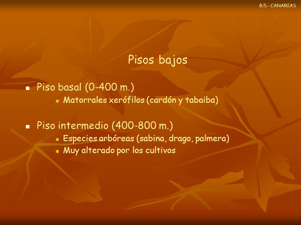 Pisos bajos Piso basal (0-400 m.) Piso intermedio ( m.)