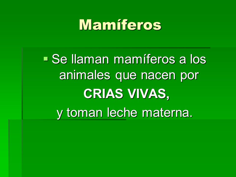 Se llaman mamíferos a los animales que nacen por