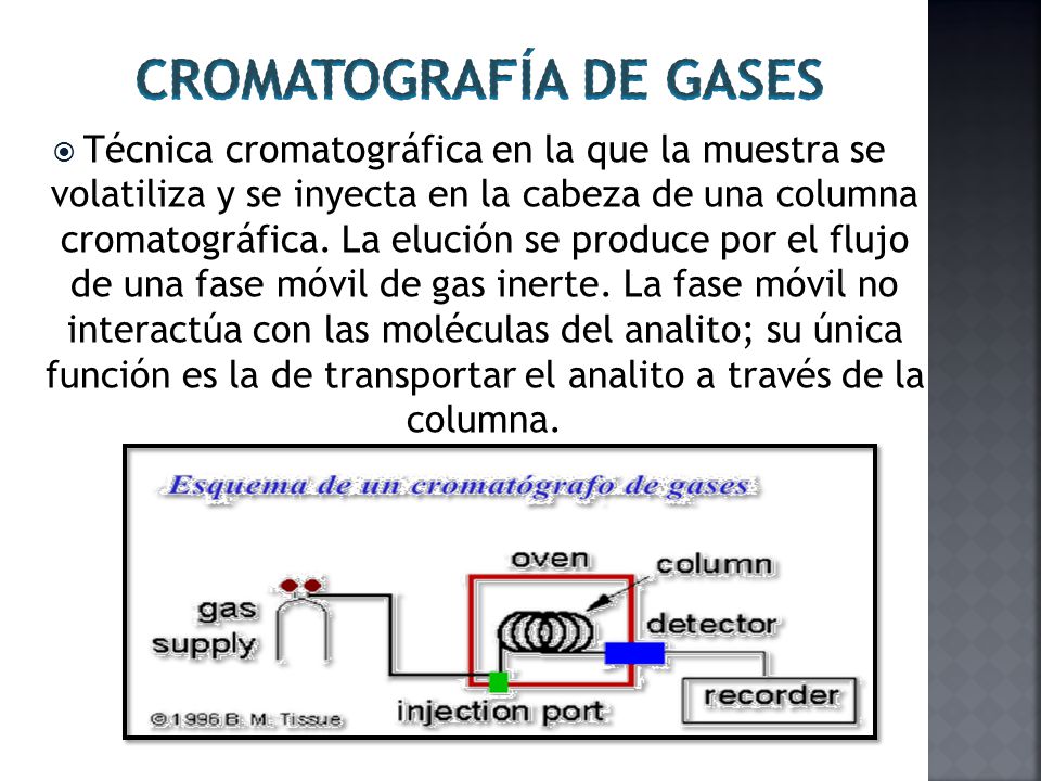 Cromatografia De Gases Ppt Descargar