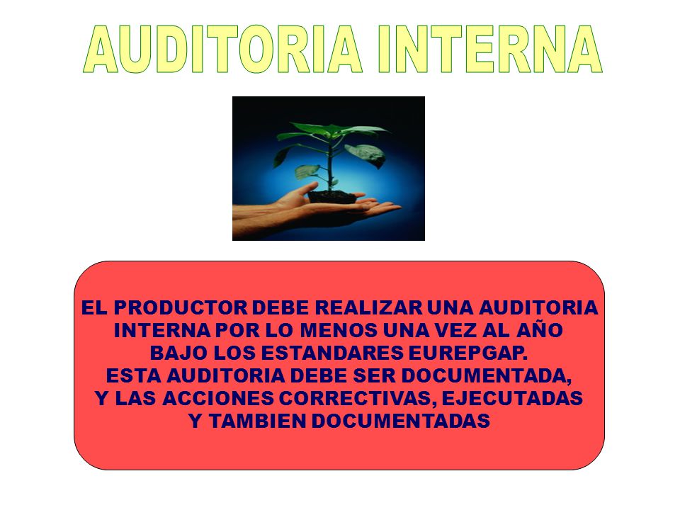 AUDITORIA INTERNA EL PRODUCTOR DEBE REALIZAR UNA AUDITORIA