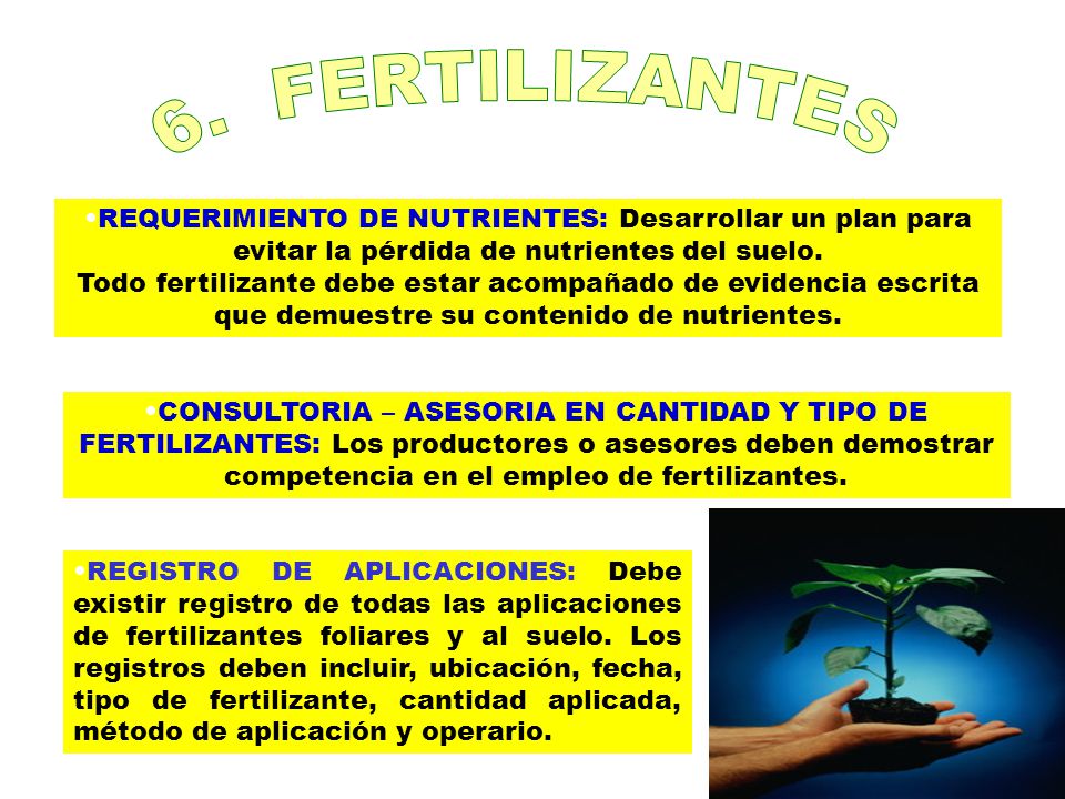 6. FERTILIZANTES REQUERIMIENTO DE NUTRIENTES: Desarrollar un plan para evitar la pérdida de nutrientes del suelo.