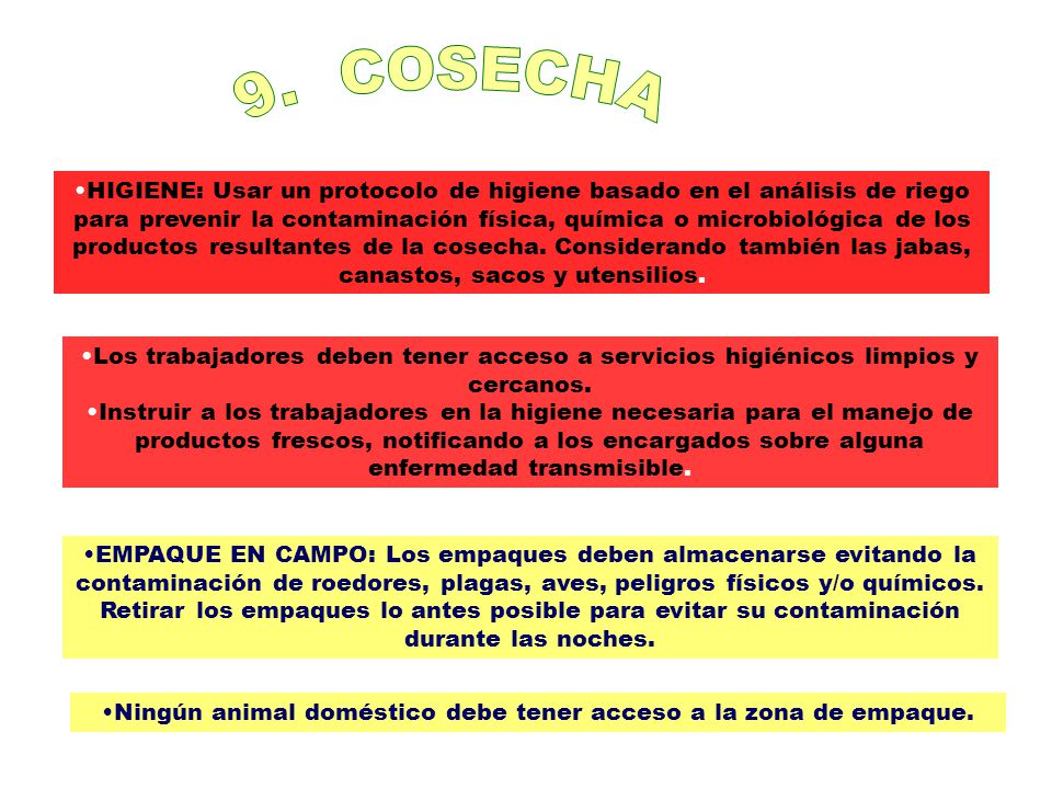 Ningún animal doméstico debe tener acceso a la zona de empaque.