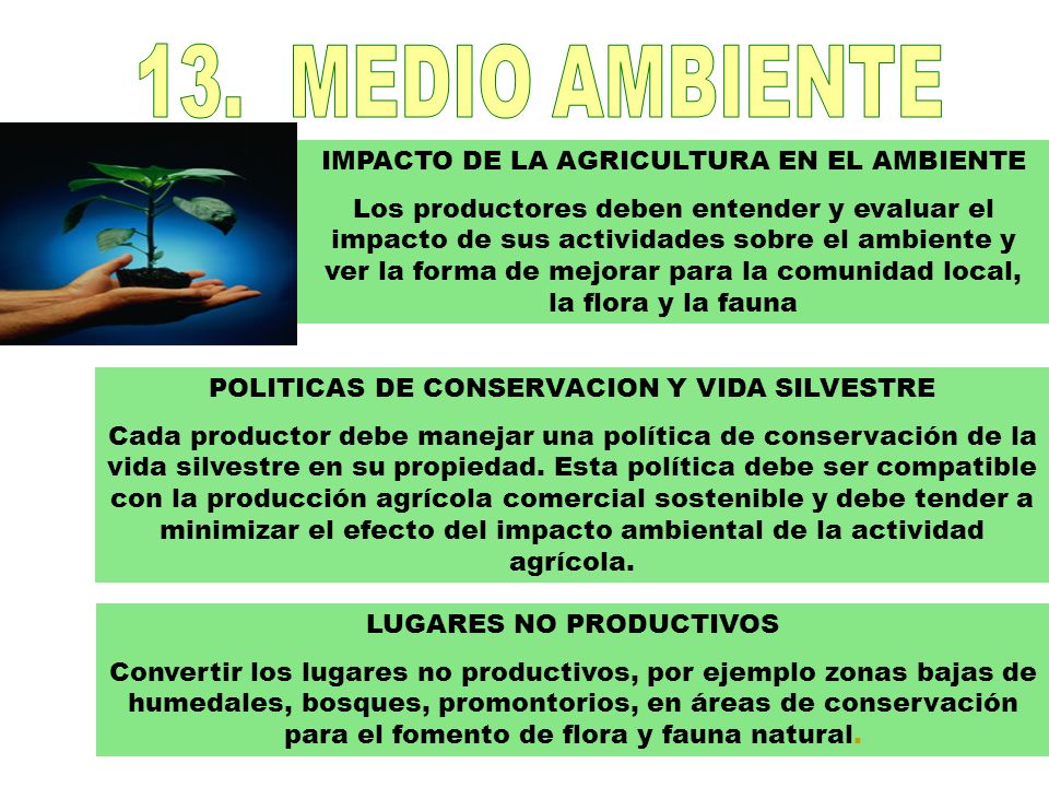13. MEDIO AMBIENTE IMPACTO DE LA AGRICULTURA EN EL AMBIENTE