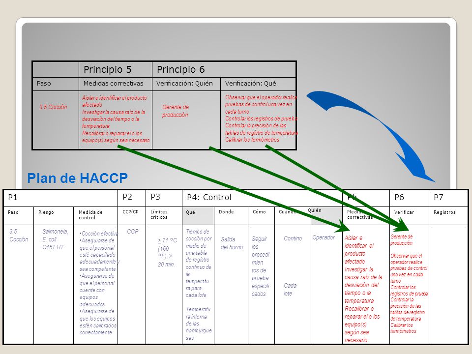 Plan de HACCP Principio 5 Principio 6 P1 P2 P3 P4: Control P5 P6 P7