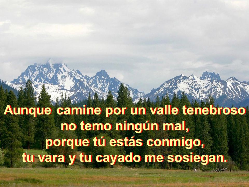 Aunque camine por un valle tenebroso no temo ningún mal,
