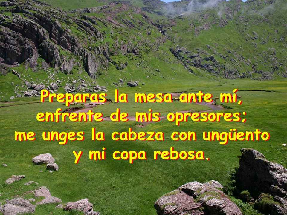 Preparas la mesa ante mí, enfrente de mis opresores;