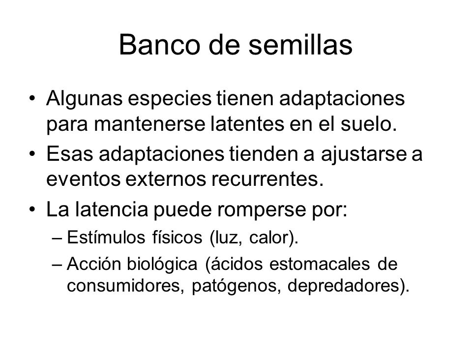 Banco de semillas Algunas especies tienen adaptaciones para mantenerse latentes en el suelo.