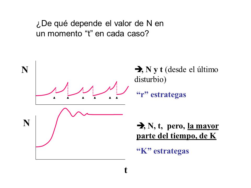 N t ¿De qué depende el valor de N en un momento t en cada caso