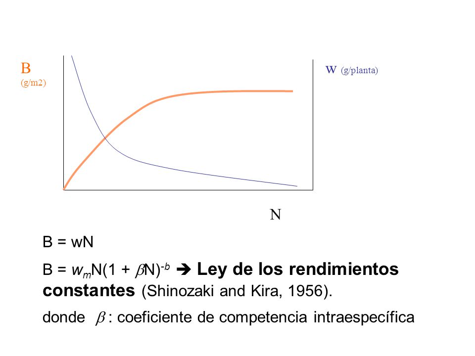 B (g/m2) w (g/planta) N. B = wN. B = wmN(1 + bN)-b  Ley de los rendimientos constantes (Shinozaki and Kira, 1956).