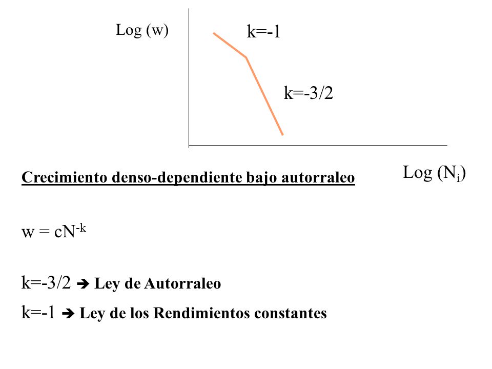 k=-3/2  Ley de Autorraleo k=-1  Ley de los Rendimientos constantes