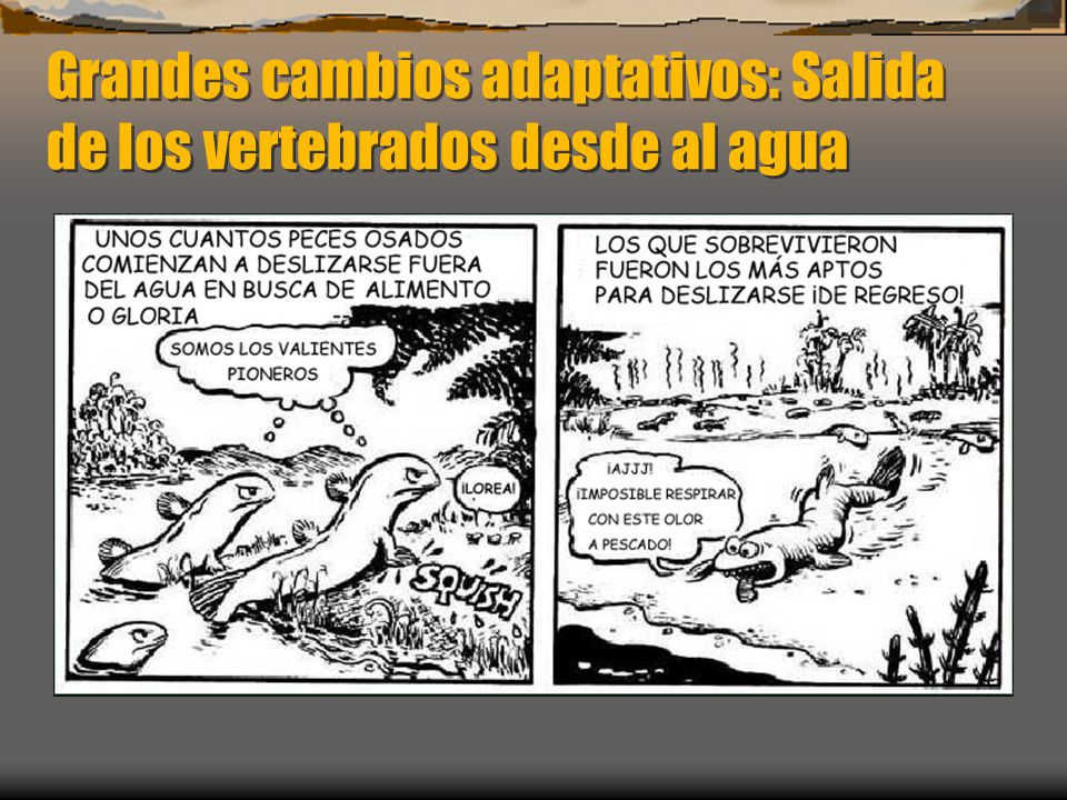 Grandes cambios adaptativos: Salida de los vertebrados desde al agua