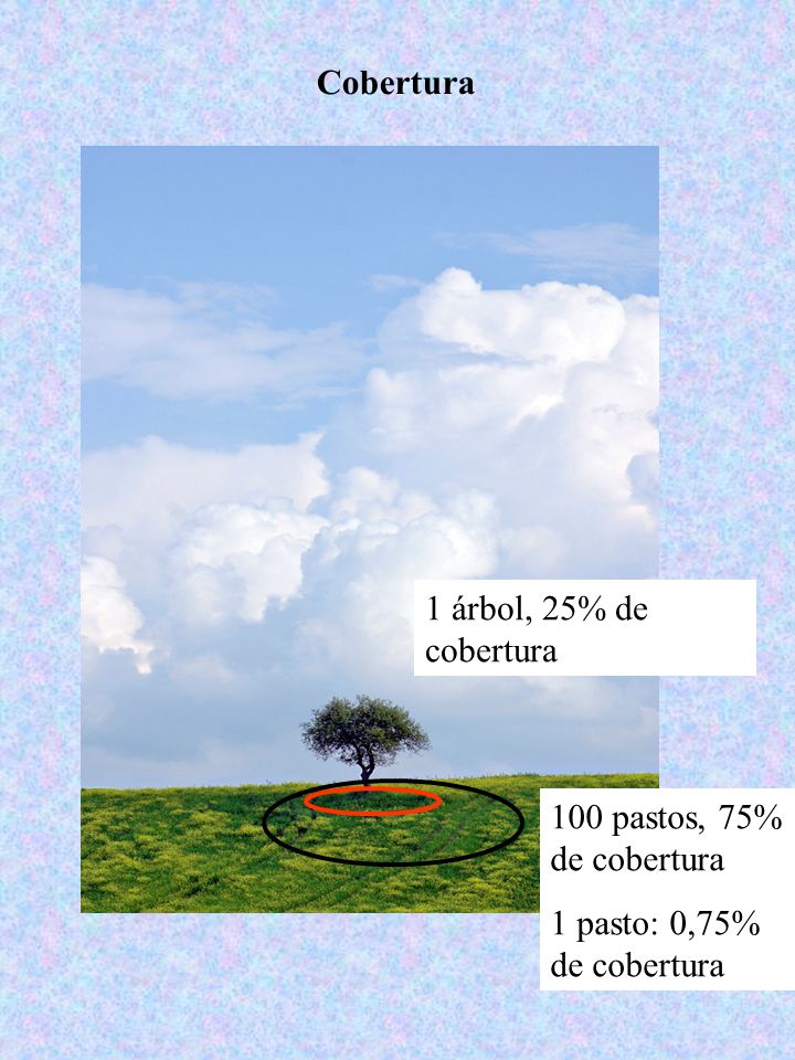 Cobertura 1 árbol, 25% de cobertura 100 pastos, 75% de cobertura 1 pasto: 0,75% de cobertura