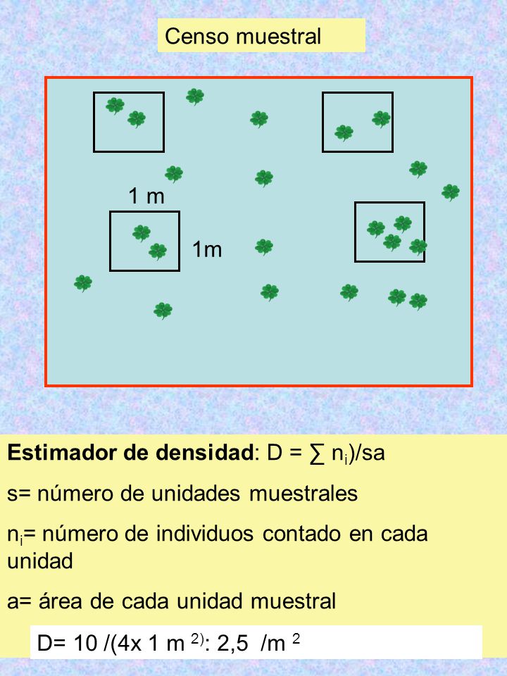 Censo muestral Estimador de densidad: D = ∑ ni)/sa. s= número de unidades muestrales. ni= número de individuos contado en cada unidad.