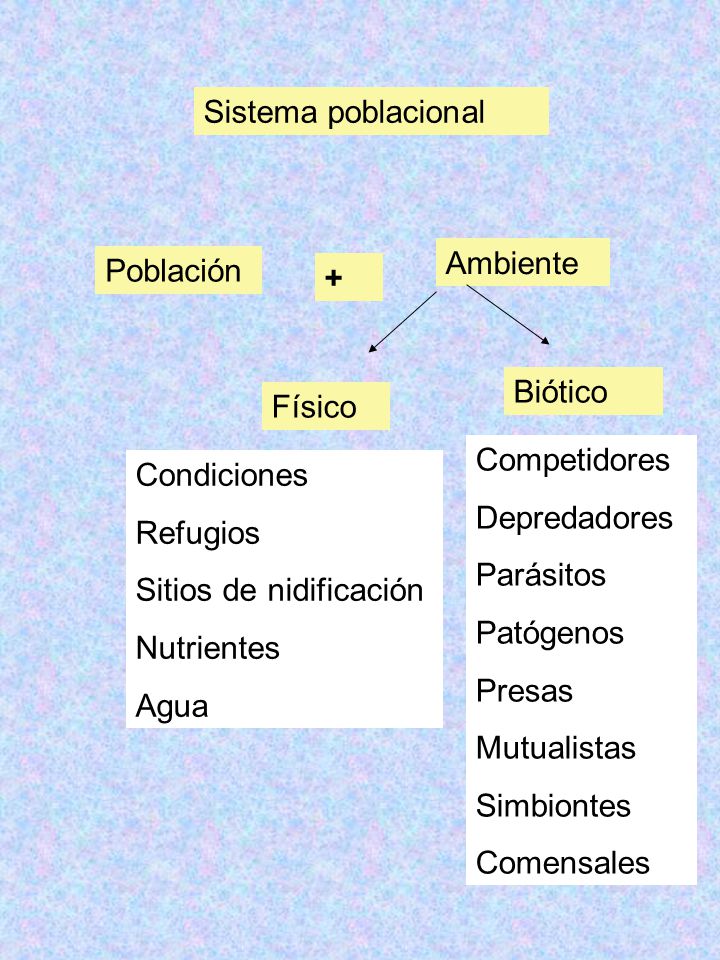 Sistema poblacional Ambiente. Población. + Biótico. Físico. Competidores. Depredadores. Parásitos.