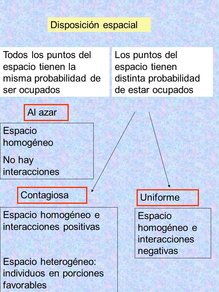 Disposición espacial Todos los puntos del espacio tienen la misma probabilidad de ser ocupados.