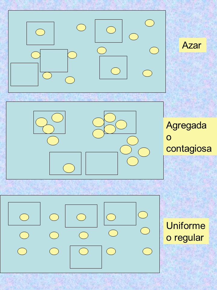 Azar Agregada o contagiosa Uniforme o regular
