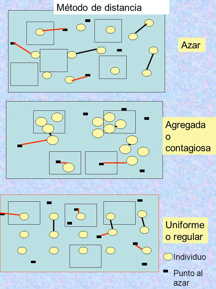 Método de distancia Azar Agregada o contagiosa Uniforme o regular