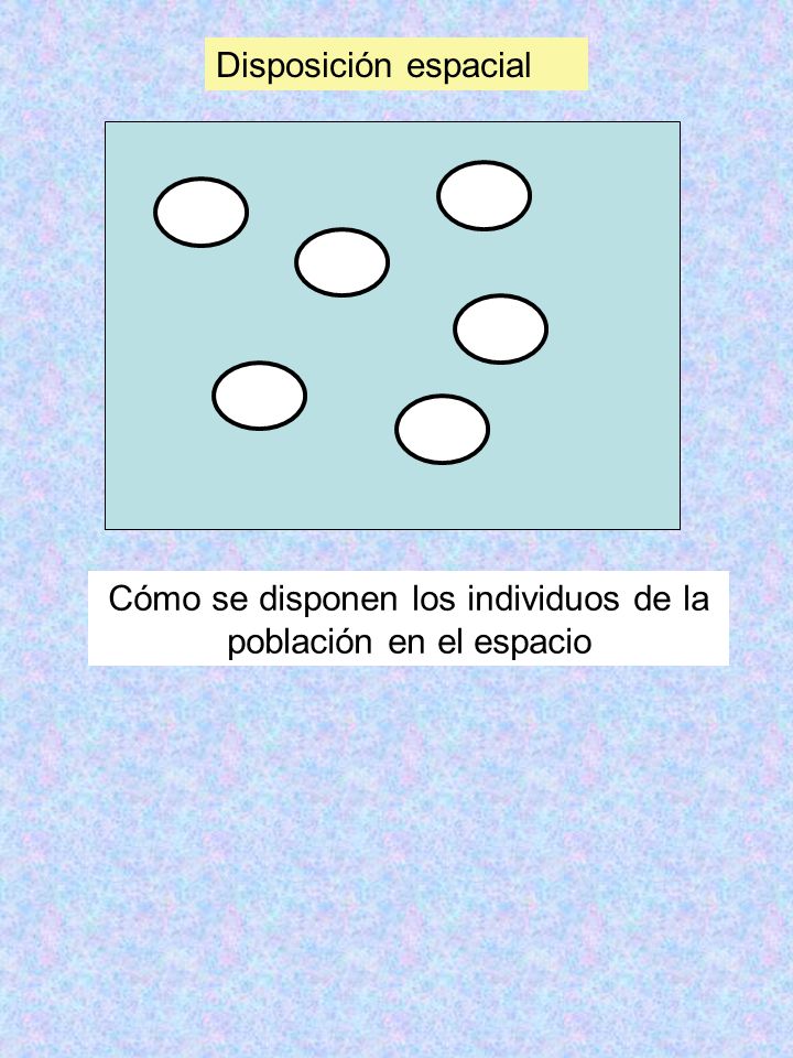Cómo se disponen los individuos de la población en el espacio