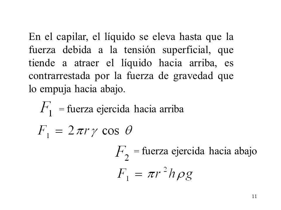En el capilar, el líquido se eleva hasta que la fuerza debida a la tensión superficial, que tiende a atraer el líquido hacia arriba, es contrarrestada por la fuerza de gravedad que lo empuja hacia abajo.