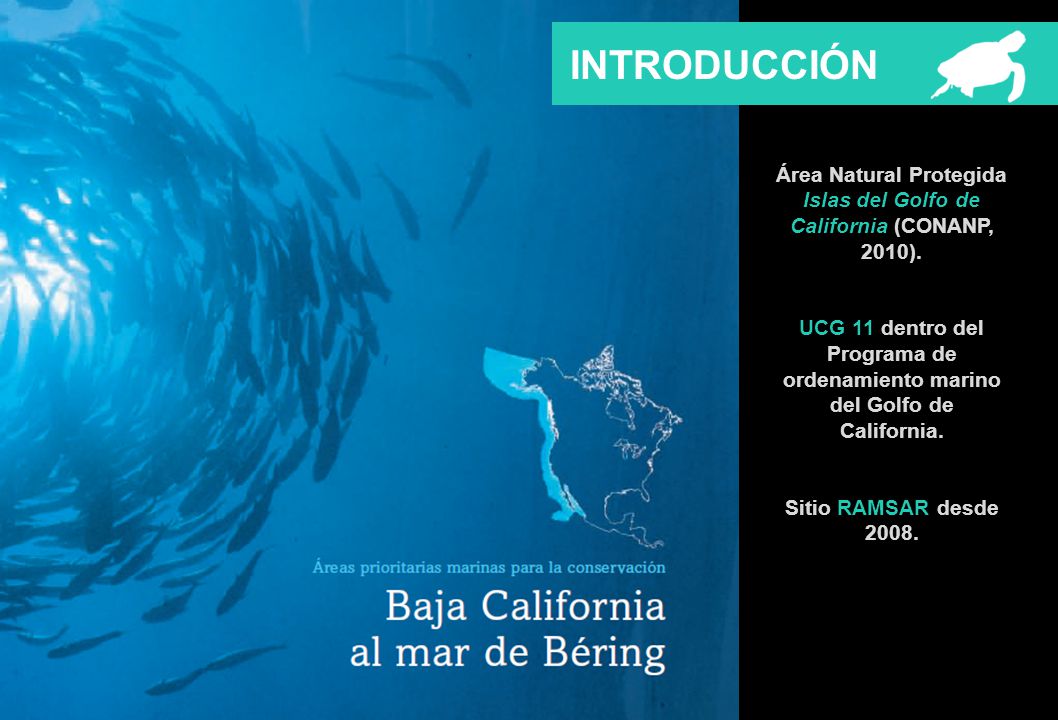 Área Natural Protegida Islas del Golfo de California (CONANP, 2010).