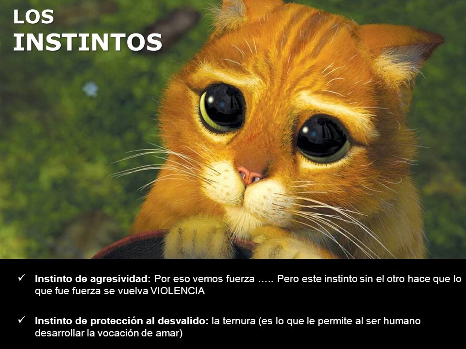 LOS INSTINTOS Instinto de agresividad: Por eso vemos fuerza ….. Pero este instinto sin el otro hace que lo que fue fuerza se vuelva VIOLENCIA.