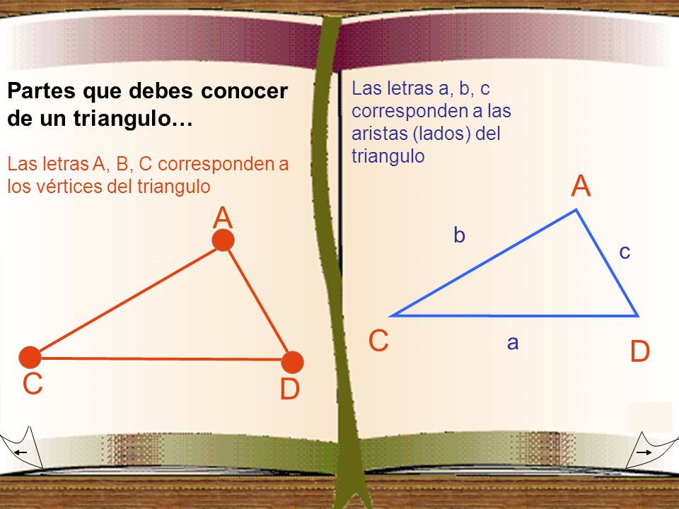 A A C D C D Partes que debes conocer de un triangulo… b c a