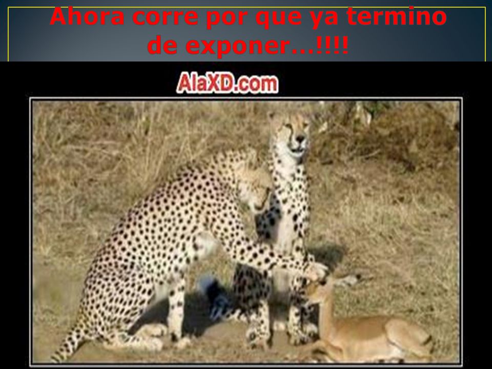 Ahora corre por que ya termino de exponer…!!!!