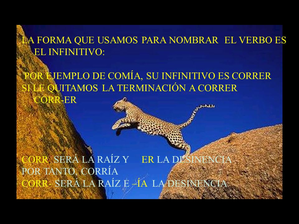 LA FORMA QUE USAMOS PARA NOMBRAR EL VERBO ES EL INFINITIVO: