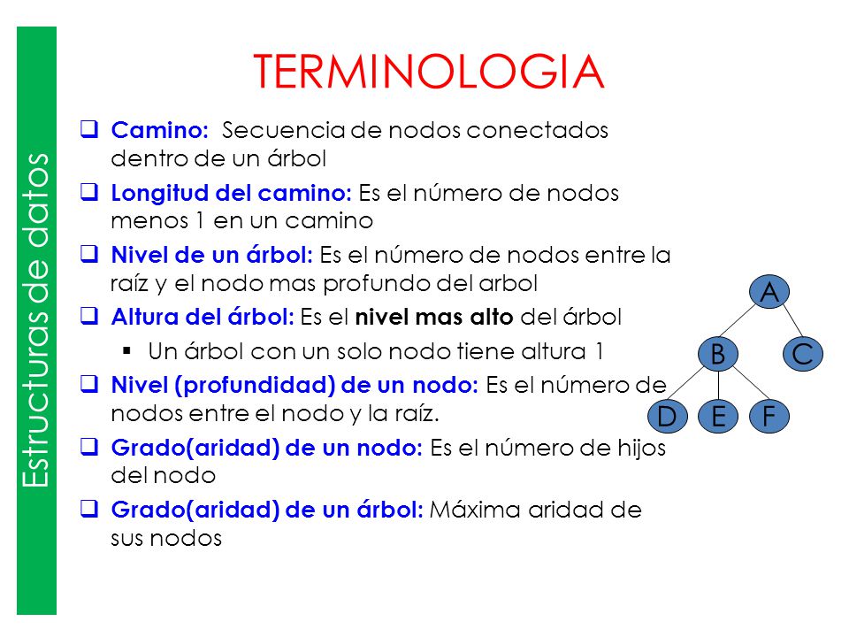 TERMINOLOGIA Estructuras de datos A B D E C F