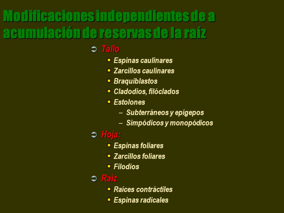 Modificaciones independientes de a acumulación de reservas de la raíz