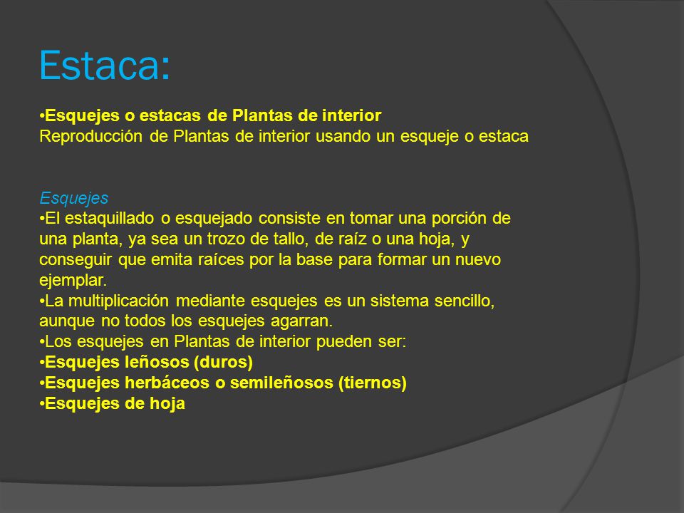 Estaca: Esquejes o estacas de Plantas de interior Reproducción de Plantas de interior usando un esqueje o estaca.