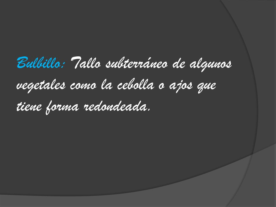 Bulbillo: Tallo subterráneo de algunos vegetales como la cebolla o ajos que tiene forma redondeada.