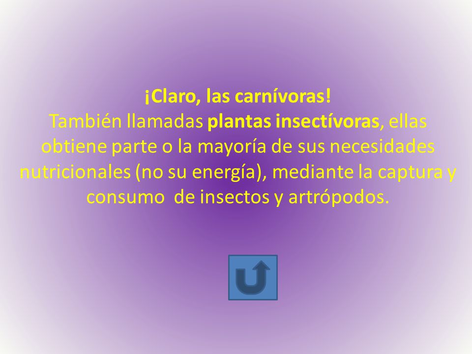 ¡Claro, las carnívoras!