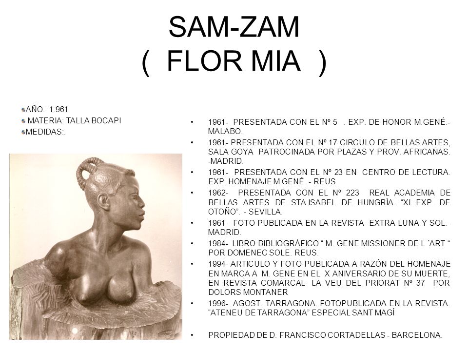 SAM-ZAM ( FLOR MIA ) AÑO: MATERIA: TALLA BOCAPI MEDIDAS:.