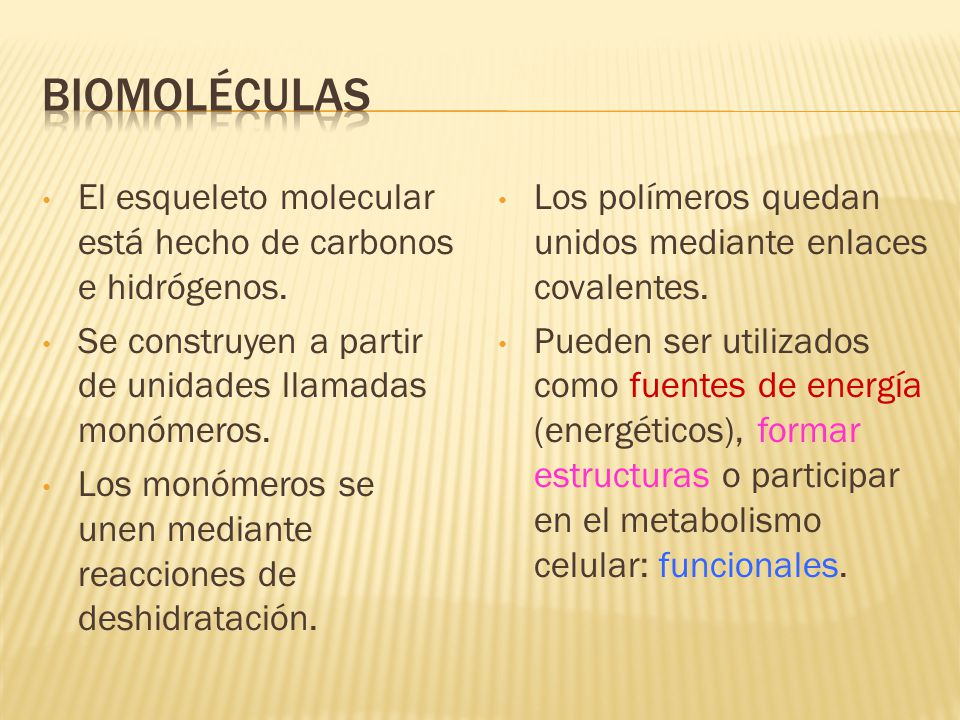 Biomoléculas El esqueleto molecular está hecho de carbonos e hidrógenos. Se construyen a partir de unidades llamadas monómeros.