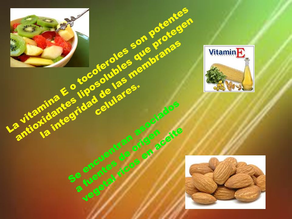 La vitamina E o tocoferoles son potentes antioxidantes liposolubles que protegen la integridad de las membranas celulares.