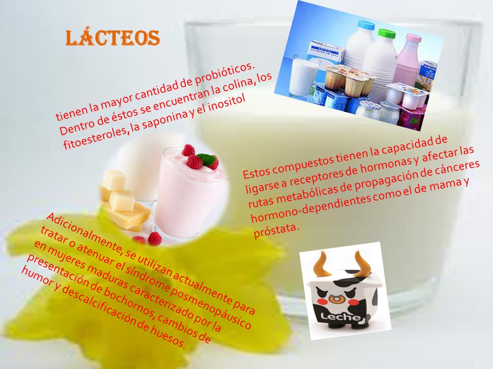 Lácteos tienen la mayor cantidad de probióticos. Dentro de éstos se encuentran la colina, los fitoesteroles, la saponina y el inositol.