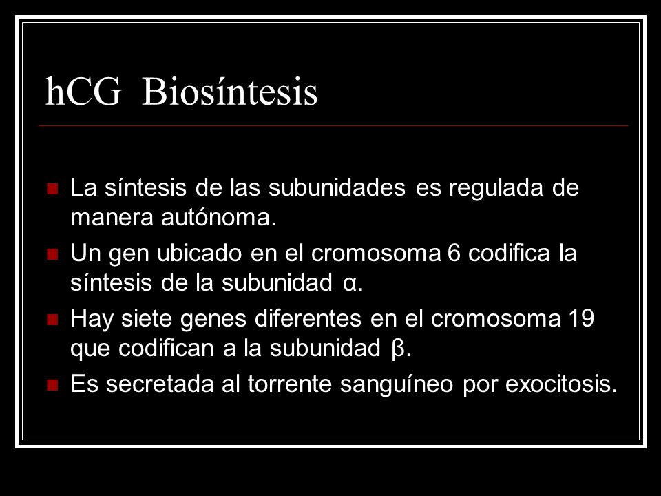 hCG Biosíntesis La síntesis de las subunidades es regulada de manera autónoma.
