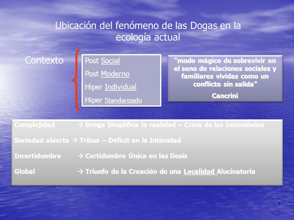Ubicación del fenómeno de las Dogas en la ecología actual
