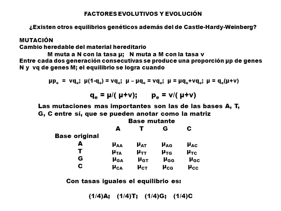 qe = μ/( μ+ν); pe = ν/( μ+ν)