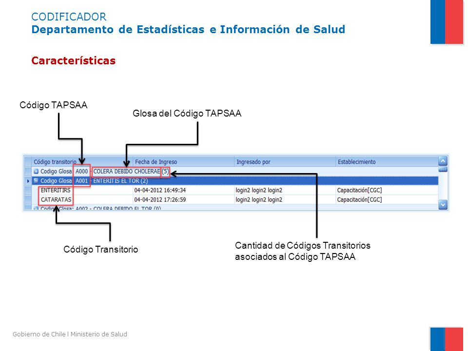 CODIFICADOR Departamento de Estadísticas e Información de Salud Características